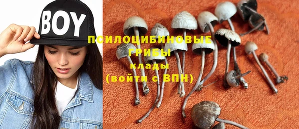 соль ск Алзамай