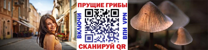 Псилоцибиновые грибы GOLDEN TEACHER  нарко площадка формула  Артёмовский 